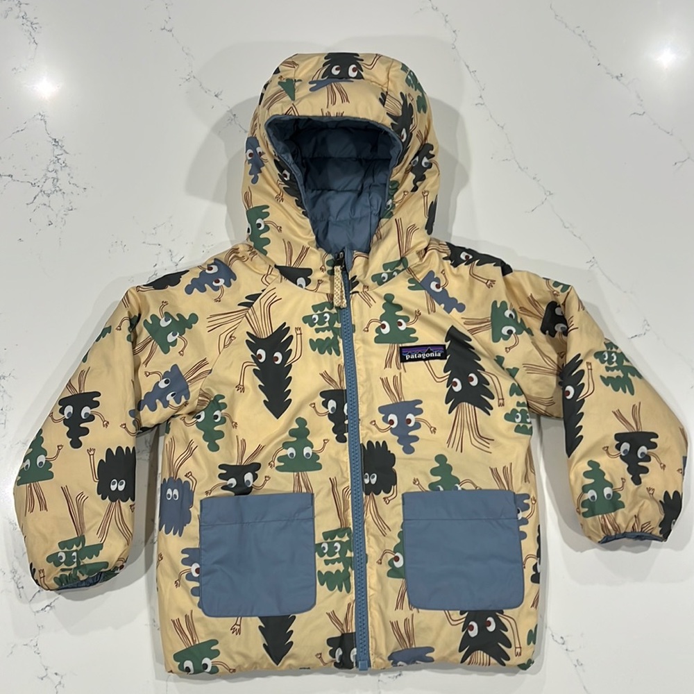 Patagonia Reversible Down Hoodie Jacket